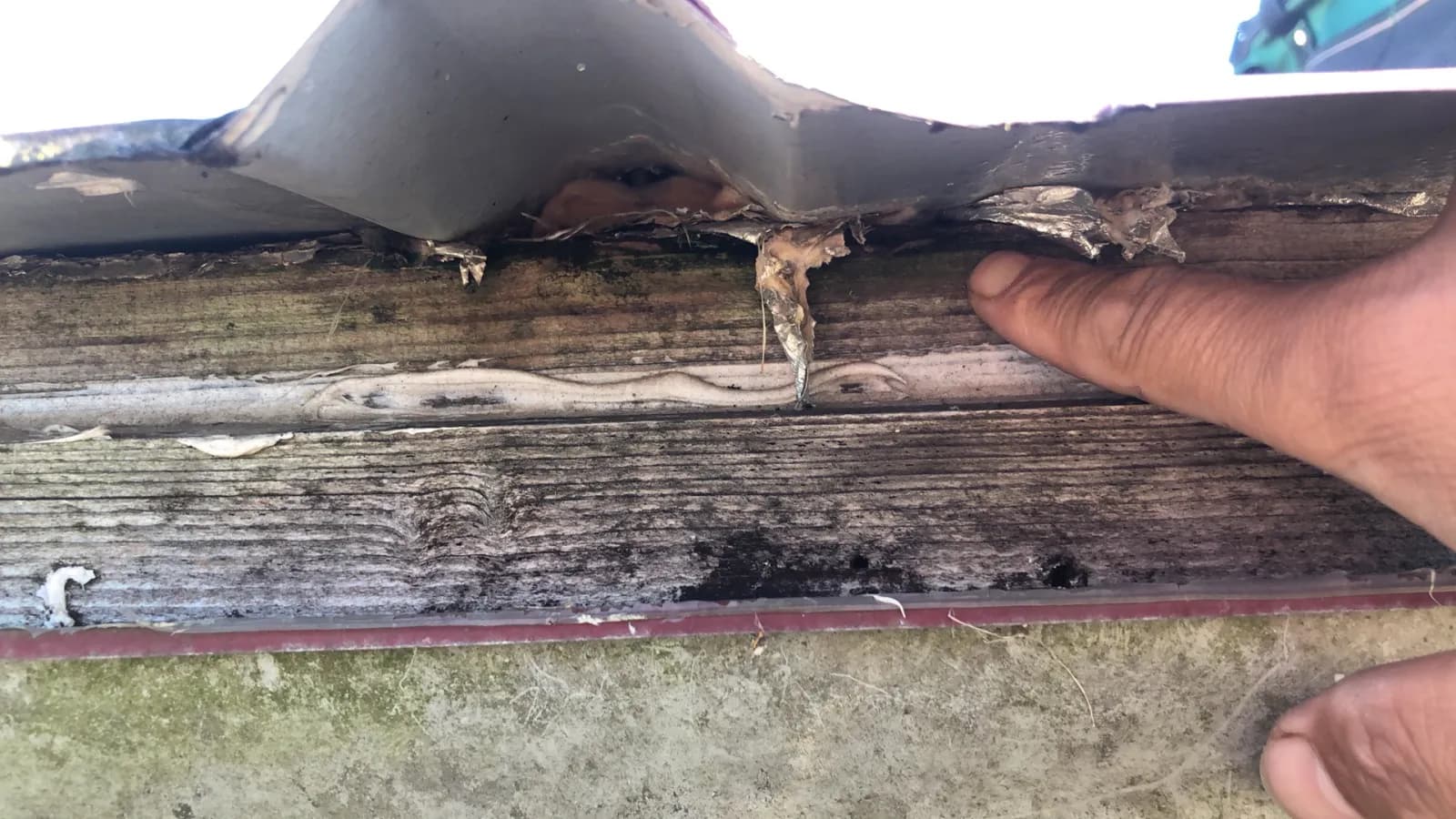 Gutter & Exterior Work - St Clair - Before - photo 3