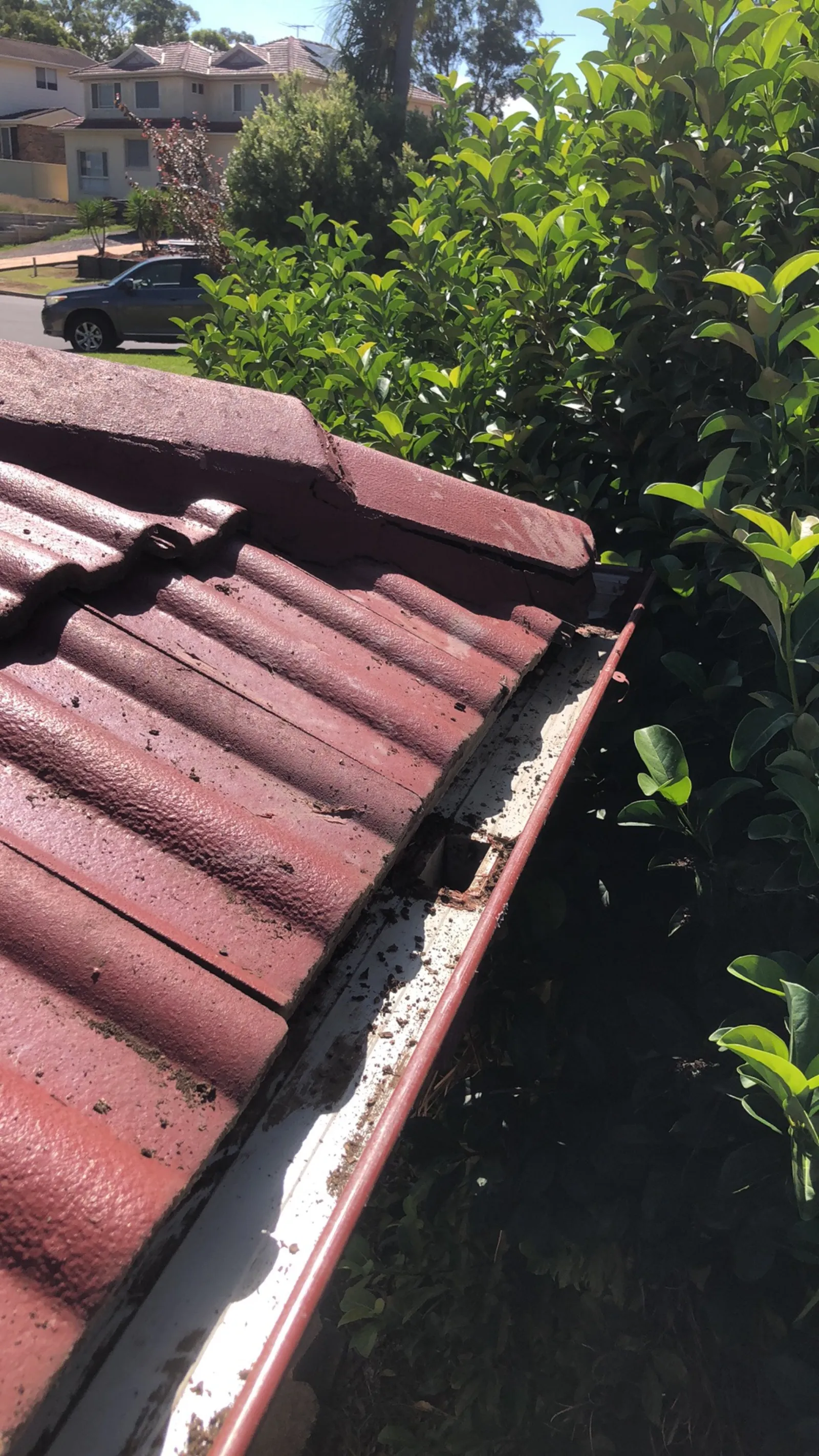 Gutter & Exterior Work - St Clair - Before - photo 8