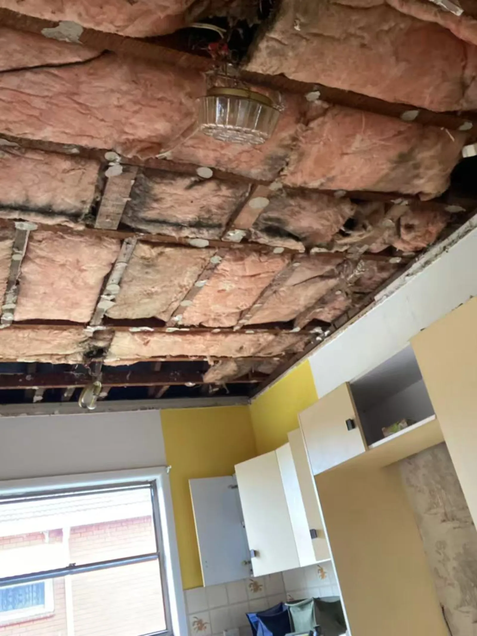 Ceiling opened during the Zokoon Miranda renovation